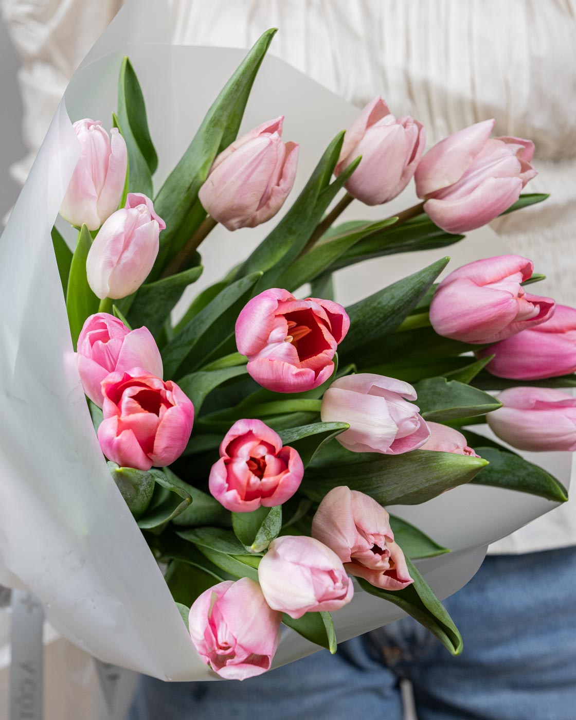 Pink Tulips