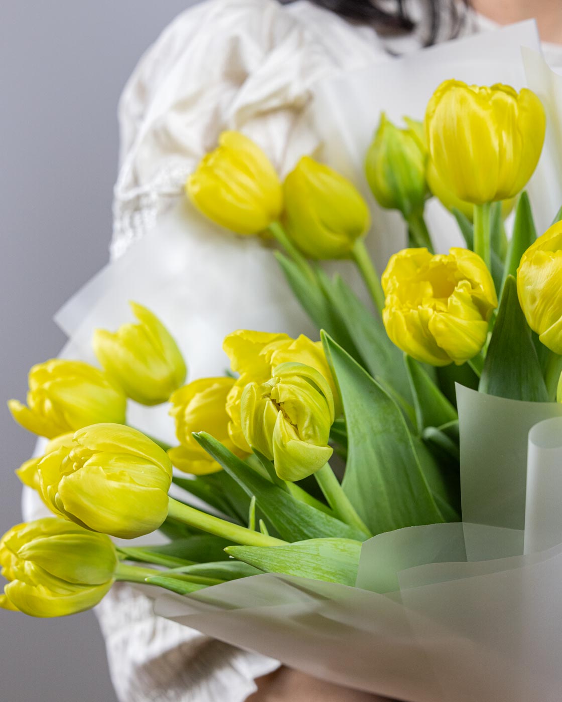 Yellow Tulips