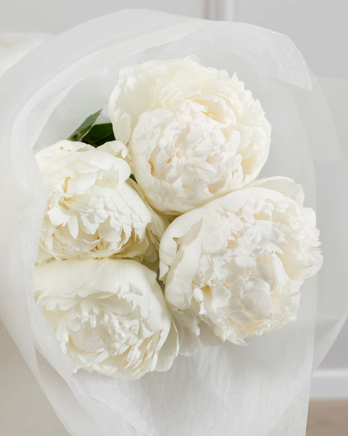 Image of Five in Bloom