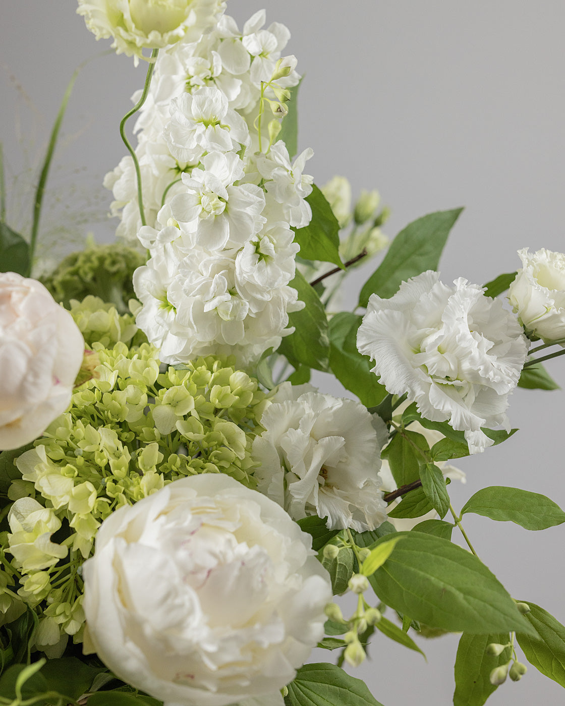 Image of Cos cu flori - Dutch White