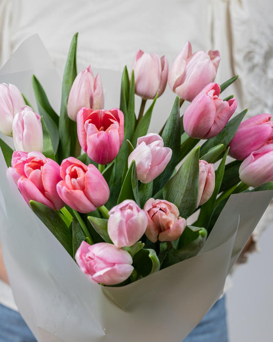 Pink Tulips