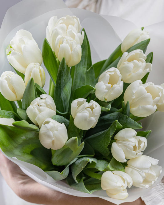 White Tulips