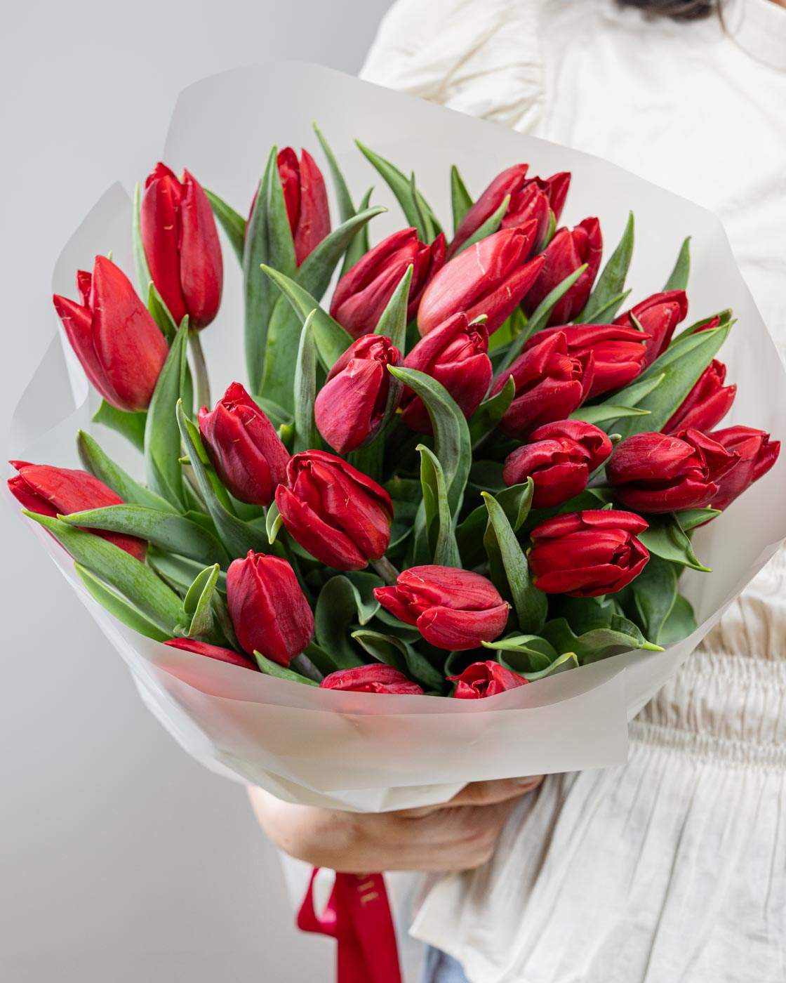 Red Tulips