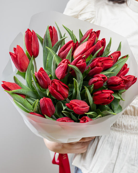 Red Tulips