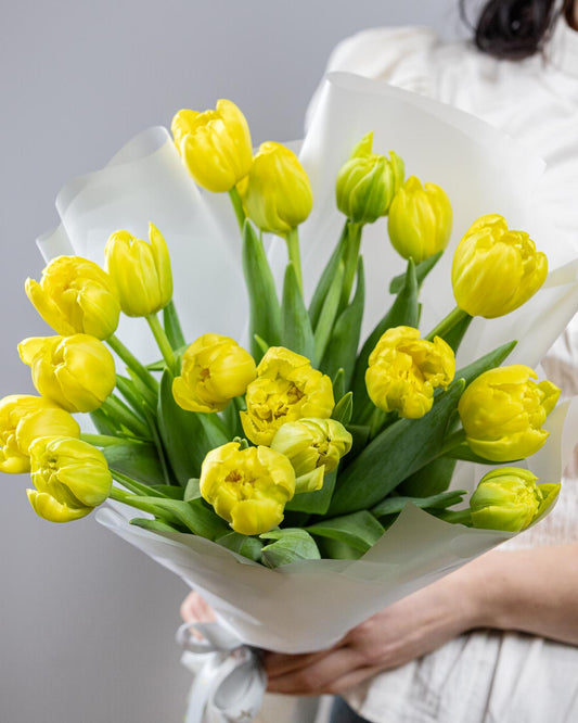 Yellow Tulips