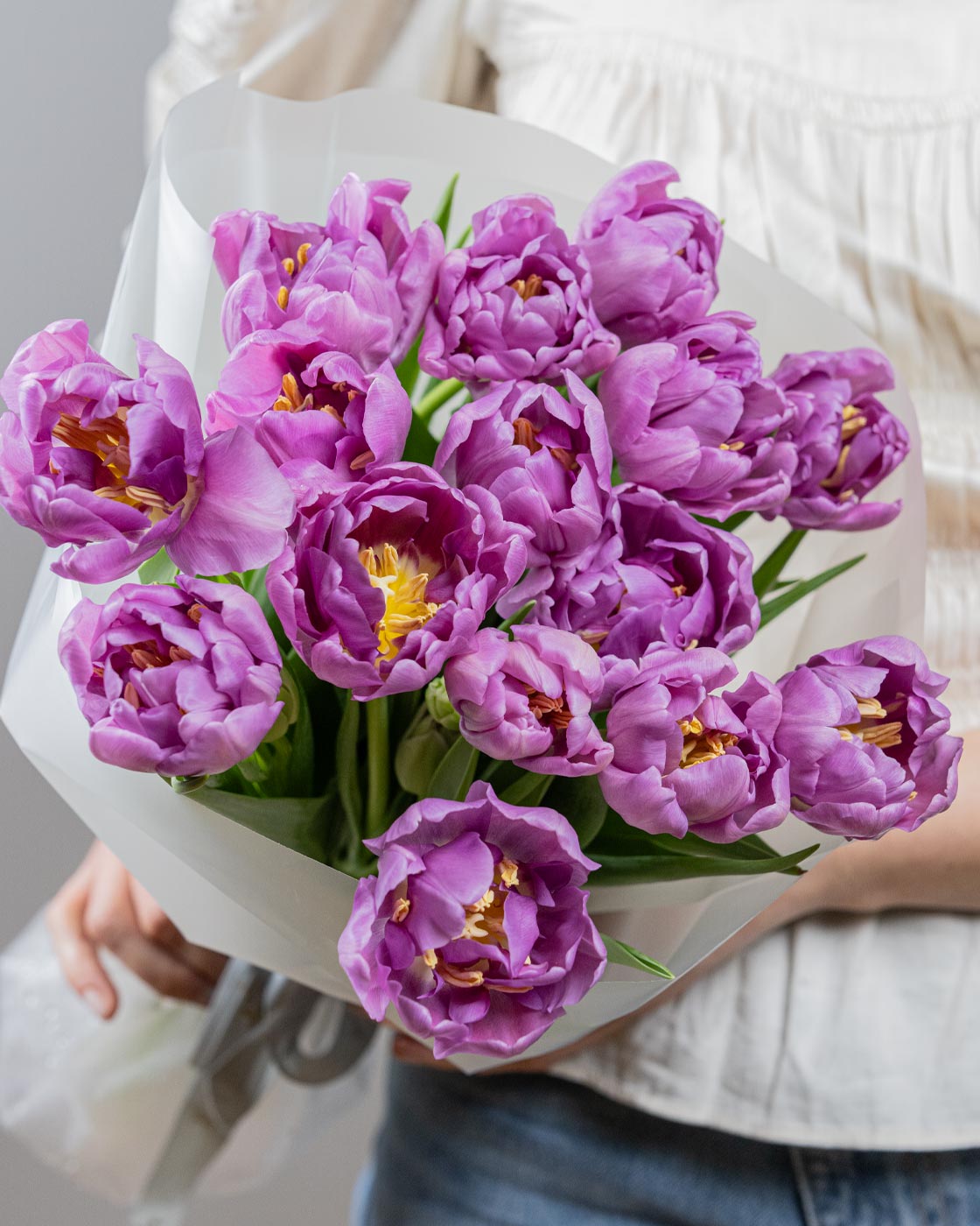 Purple Tulips