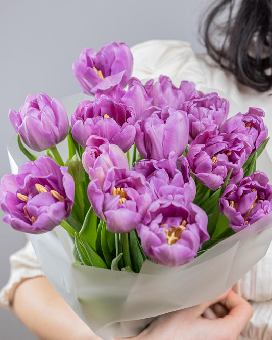 Purple Tulips
