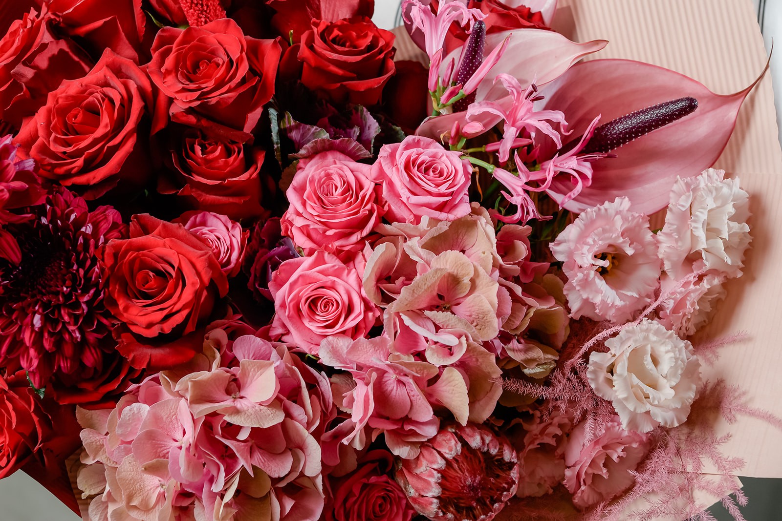 Image of Touch my soul